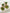 Goud/groene clip oorbellen