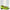 Groene leren pumps | 39.5
