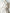 Witte katoenen trenchcoat