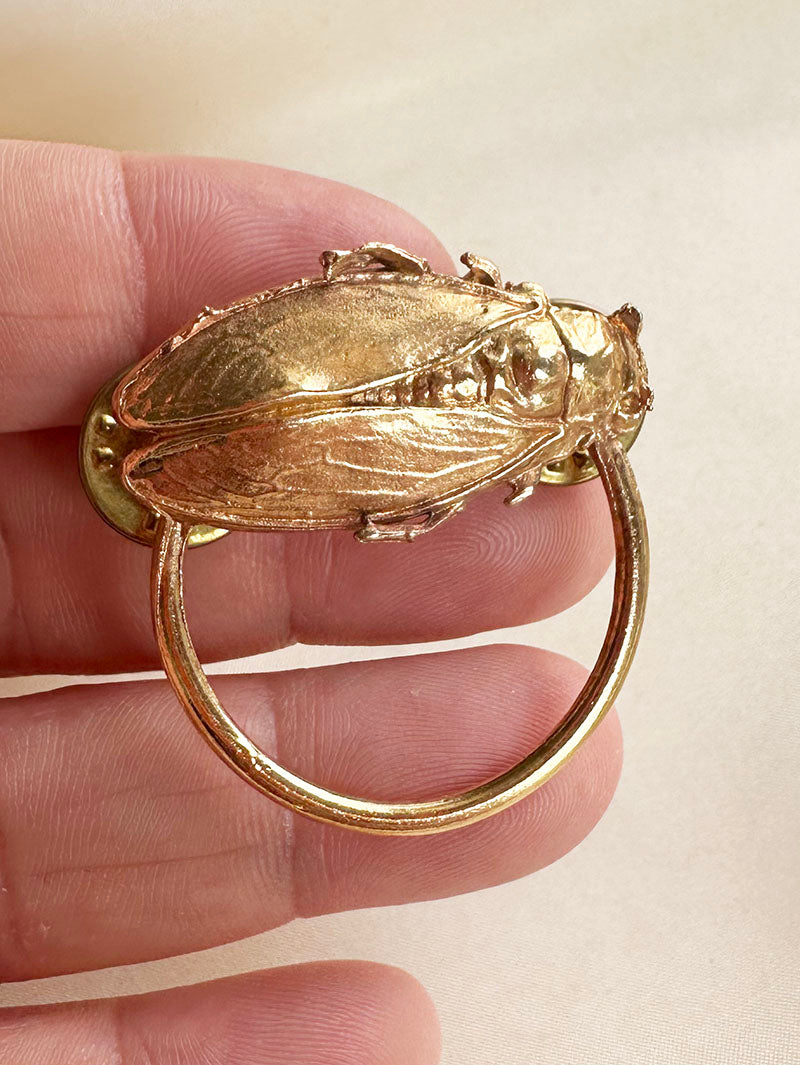 Cigale speld broche