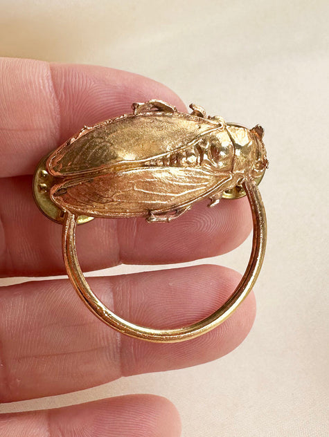 Cigale speld broche