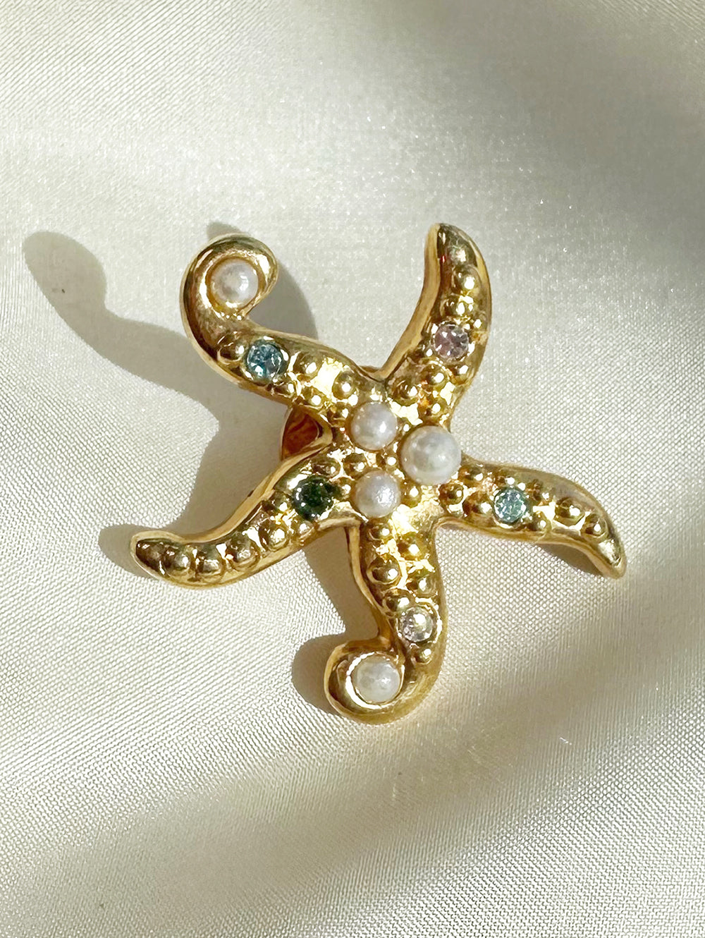 Zeester pin broche