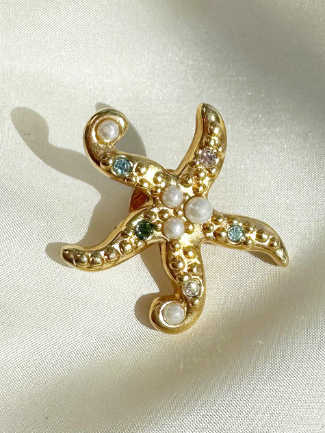 Zeester pin broche