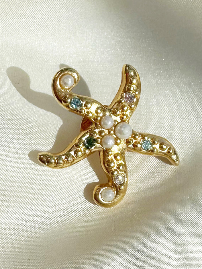 Zeester pin broche