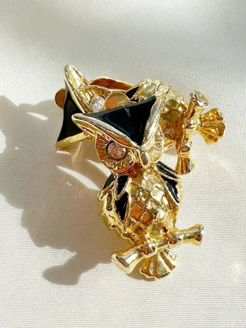 Geëmailleerde uiltjes clip oorbellen