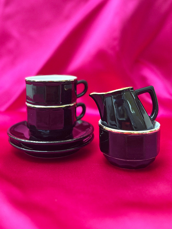 Zwart/gouden Apilco set