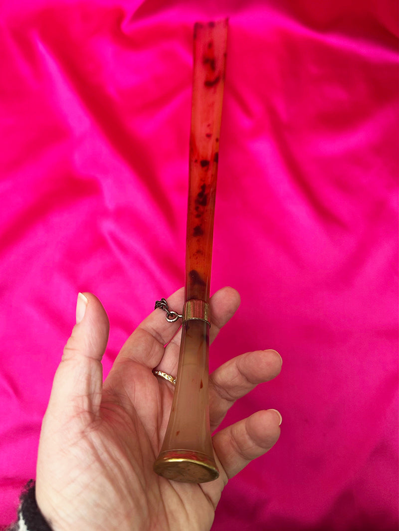 Tortoise schoenlepel