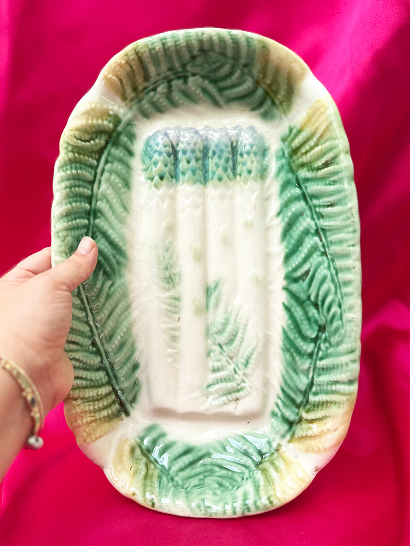 Barbotine aspergeschaal