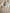 Gouden lurex tuniek
