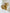 Gouden hondje broche