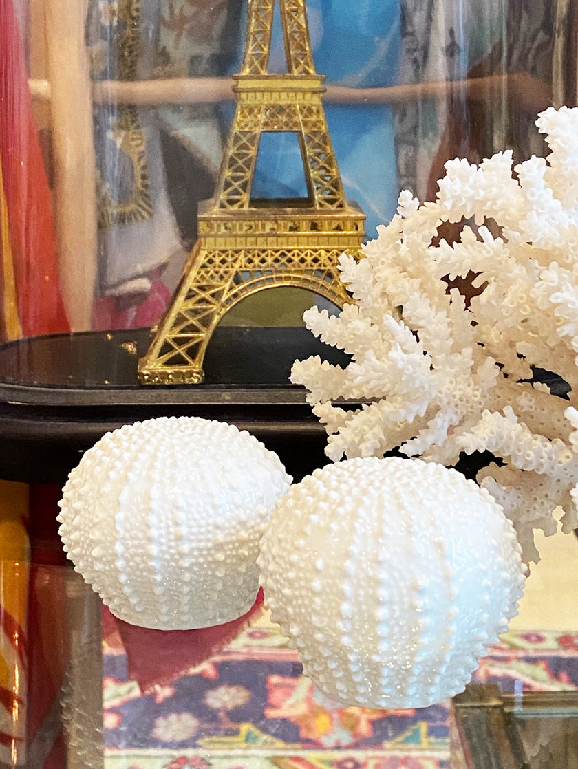 Bone China Zeeëgel peper- en zoutstel