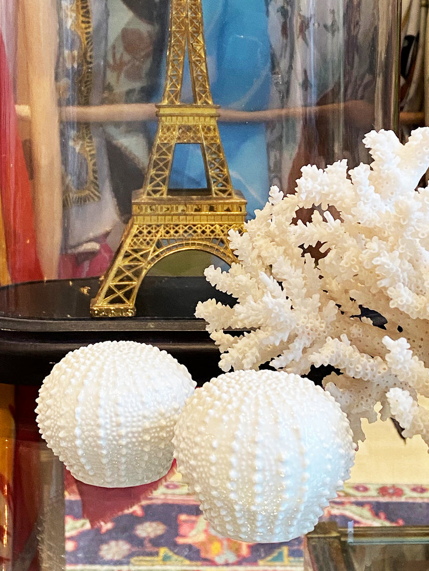 Bone China Zeeëgel peper- en zoutstel