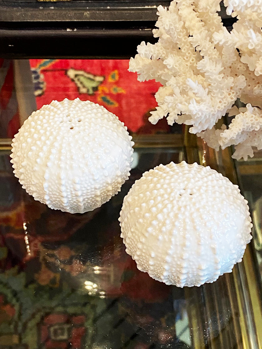 Bone China Zeeëgel peper- en zoutstel