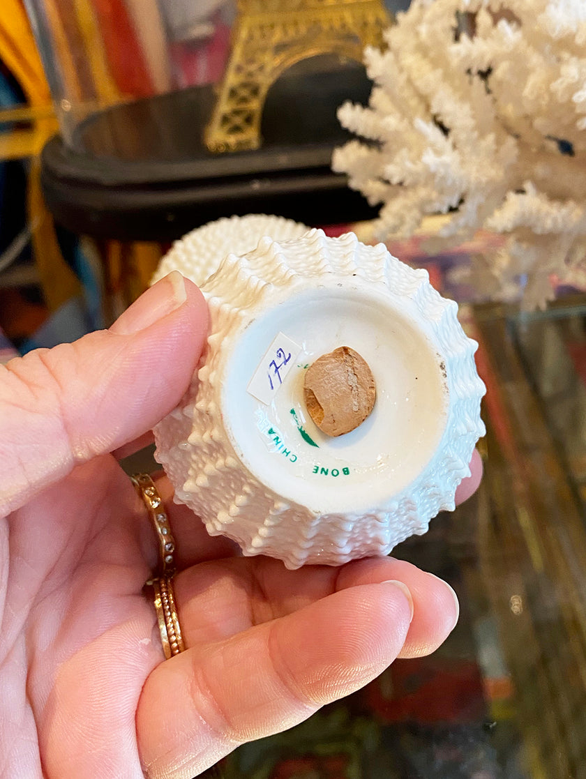 Bone China Zeeëgel peper- en zoutstel