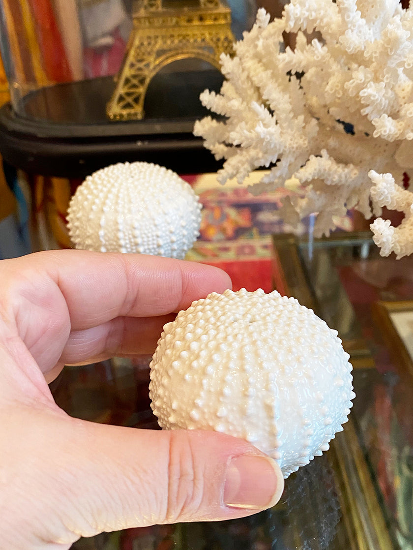 Bone China Zeeëgel peper- en zoutstel