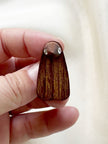 Teak pinguin broche