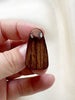 Teak pinguin broche