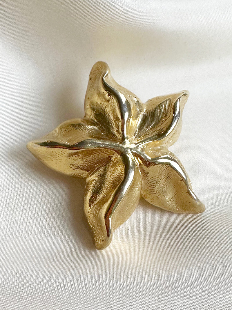 Vergulde ster broche