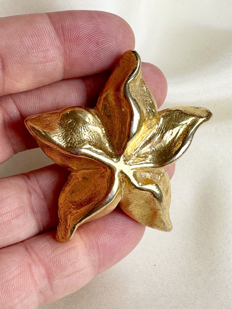 Vergulde ster broche