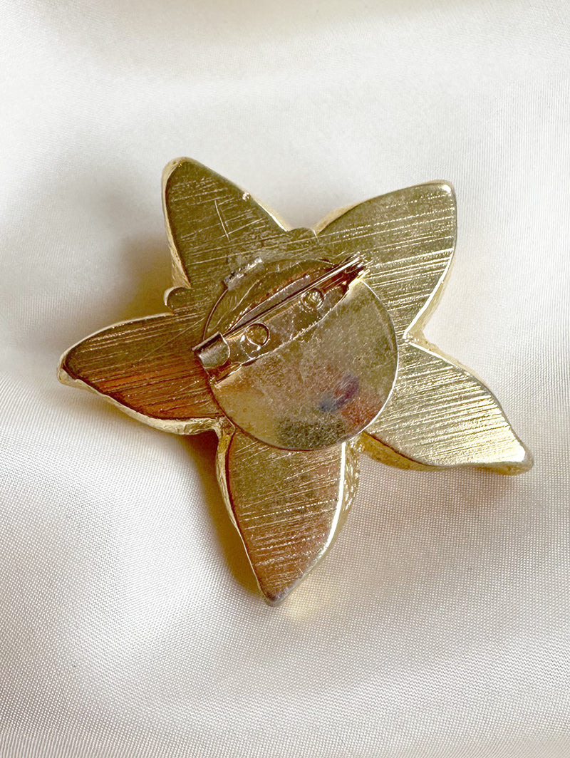 Vergulde ster broche