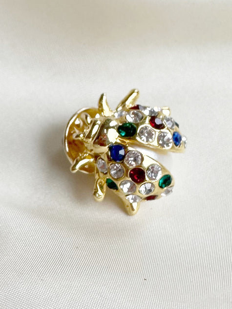 Strass kever pinbroche