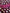 Bordeaux designer jurk met stippen